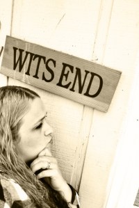 Wits End Now & Zen Photography
