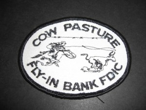 cow-pasture-fly-in-bank