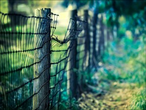 fence