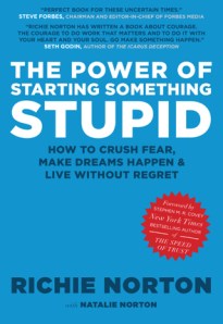 Power-SomethingStupid-book